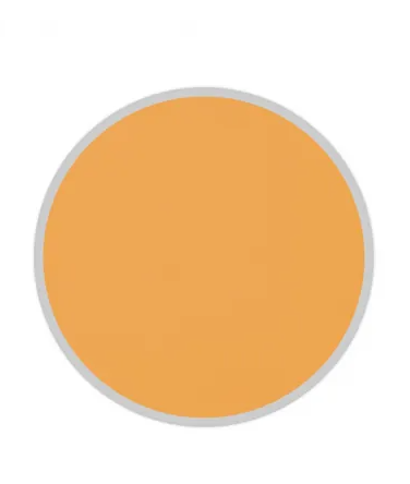 SenZora Beauty Studio Brights